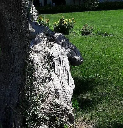 Tenuta Cavalieri