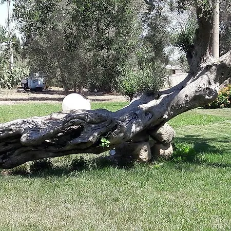 Farmház Tenuta Cavalieri