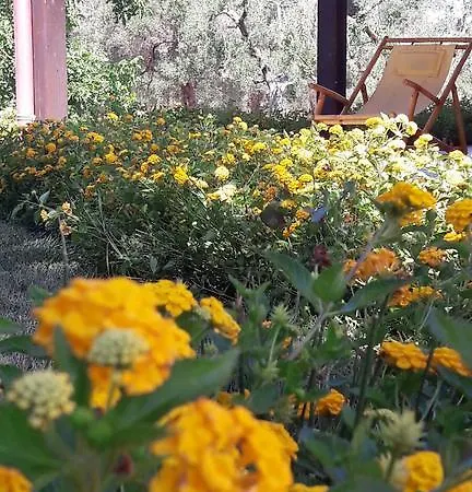 Farmház Tenuta Cavalieri