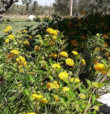 Tenuta Cavalieri Farmház Leverano