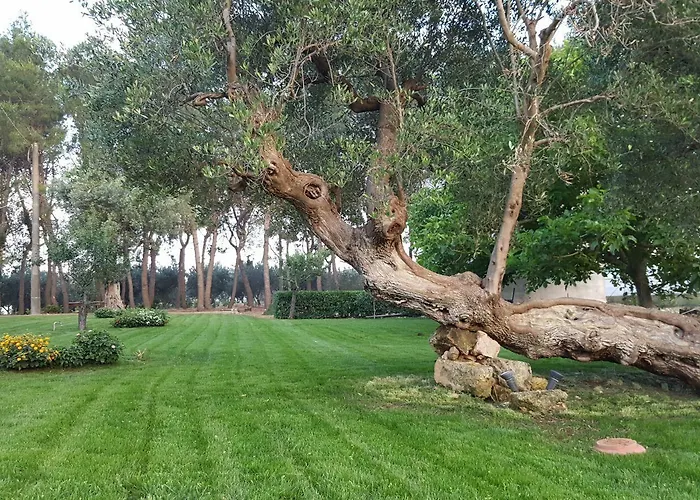 בית חווה Tenuta Cavalieri לבראנו